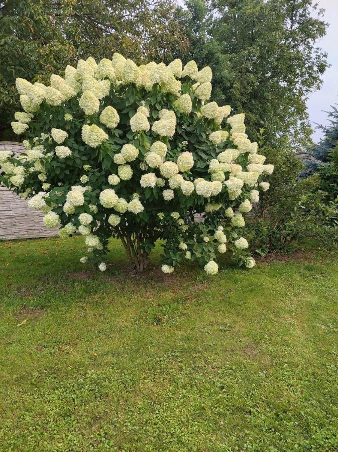 Magnolia Gospodarstwo Agroturystyczne Kazimierz Dolny Exteriér fotografie